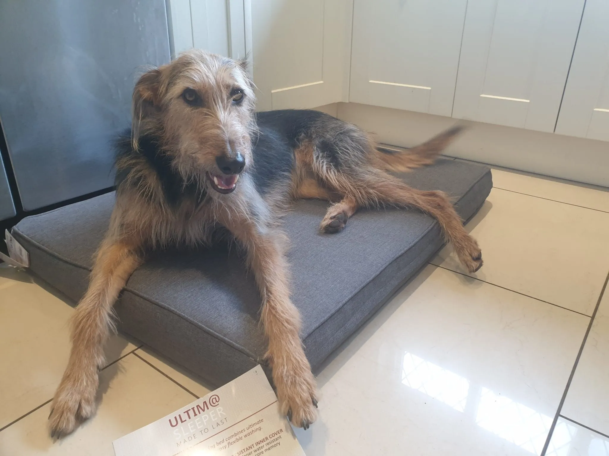 Gor Pets ULTIMA Memory Foam Sleeper Dog Bed