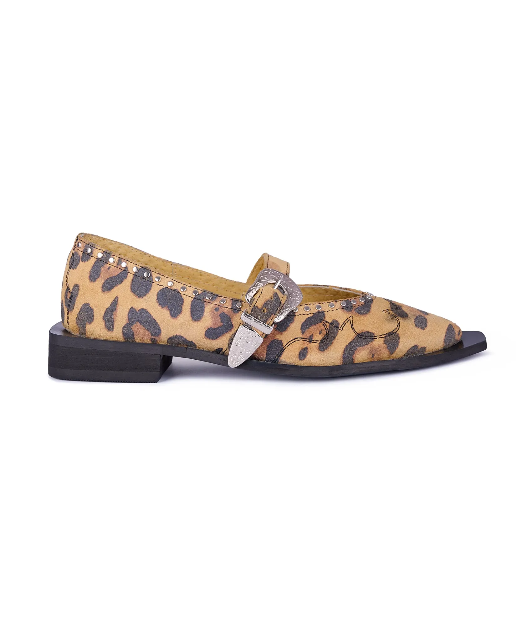 Jornada Flats cheetah