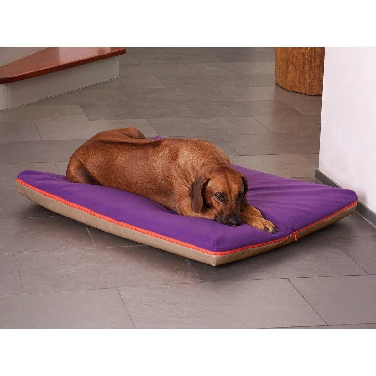 Memory Foam Dog Bed in Brown Faux Leather