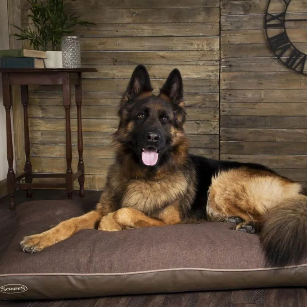 Scruffs Hilton Orthopaedic Memory Foam Dog Mattress